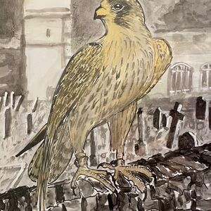 Peregrine in Gold