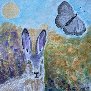 The hare and butterfly