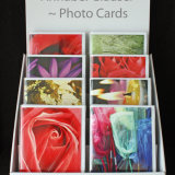 The 'Colour + Light' Collection