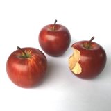 Sycamore and Acrylics