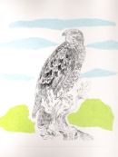 Buzzard drypoint with chine colle