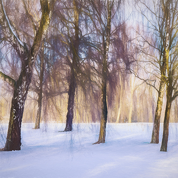 ART_03 Sentinels in the Snow