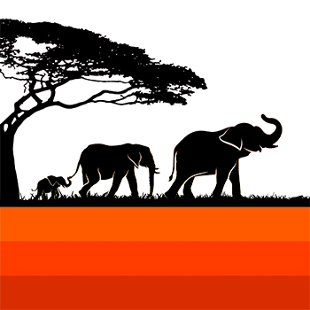 BD_02 Elephants on Patrol