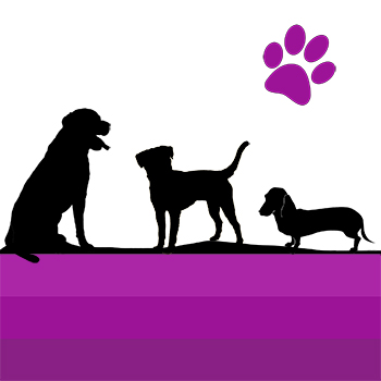 BD_04 Four Paw Friends