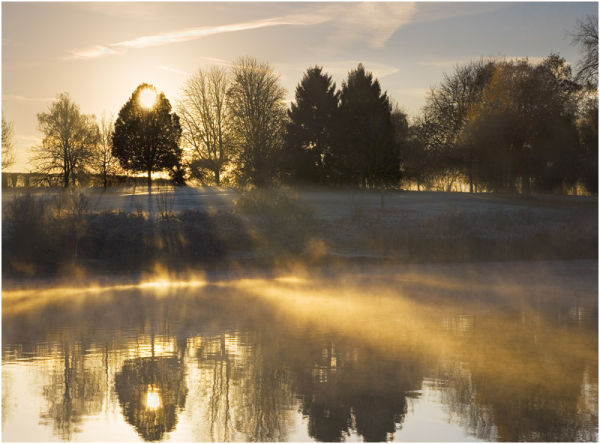 C Misty Morning