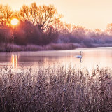 GL _03 Frosty Sunrise