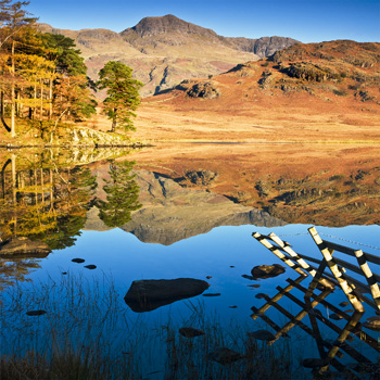 LD_08 Morning Reflection