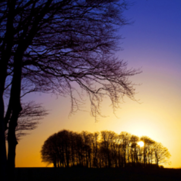 Wiltshire Landscapes