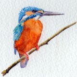 Oxfordshire Artweeks