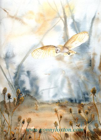 PCL3 Barn Owl & Teasles