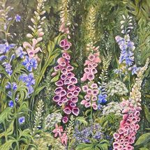 Foxgloves & Delphiniums