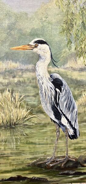 Heron