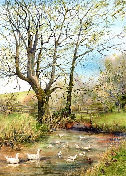 Ducks & Geese at Fulling Mill