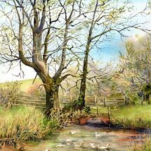 Ducks & Geese at Fulling Mill