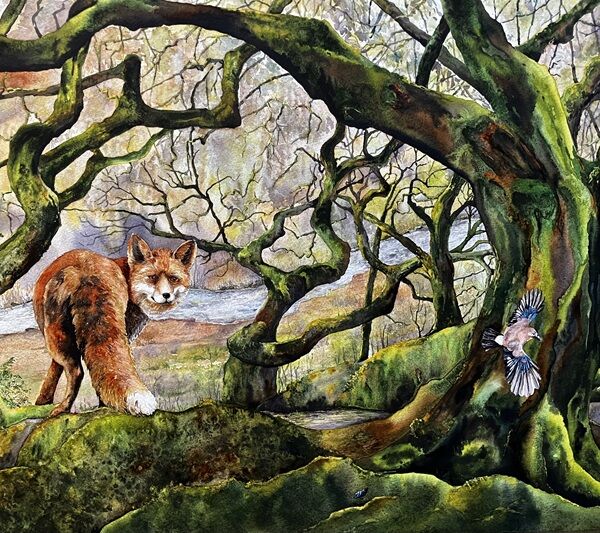 Startled Fox & Jay