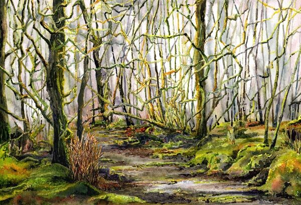 Woodland Walk
