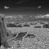 dungeness fishing boat