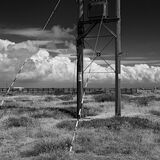 dungeness wires