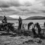 george and patrick ii (oyster farming)