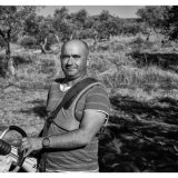 olive picker ii