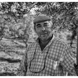 olive picker iii