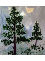 Scots Pines in snow.