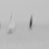 Dun Laoghaire Sailing I