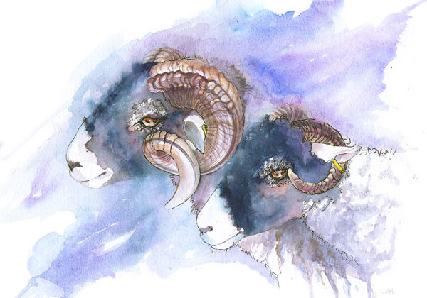 Gallery 2 Limited Edition Prints / Artist's Proofs