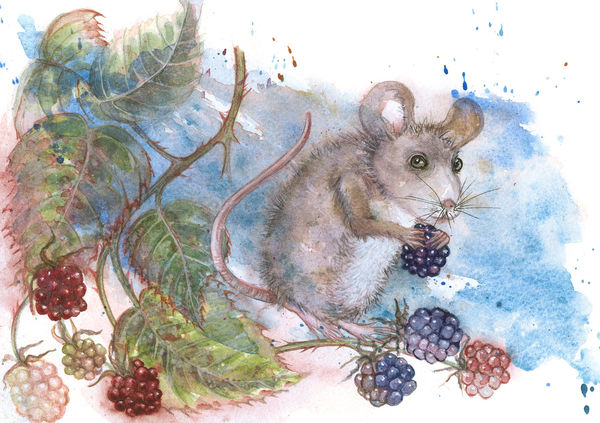 Bramble Feast-Mouse