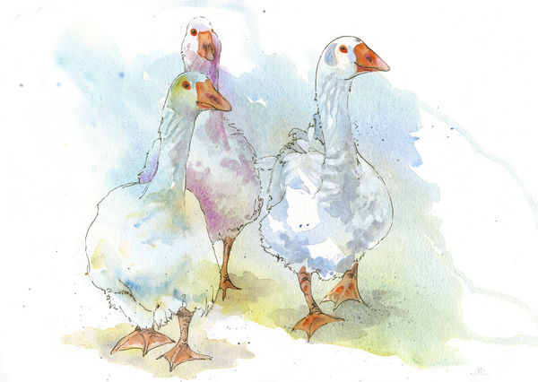 Goosey Goosey Gander