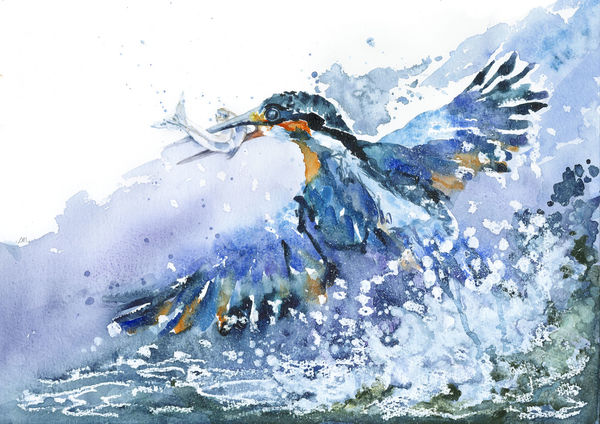 Once I Caught a Fish  Alive