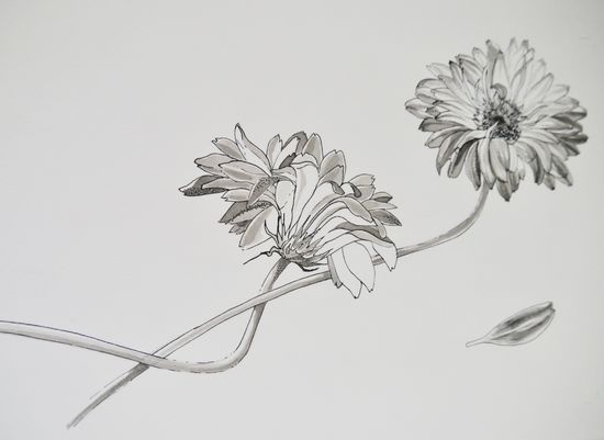 Monochrome Flower
