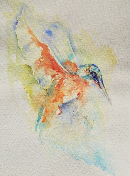 A Flurry of Feathers - 2