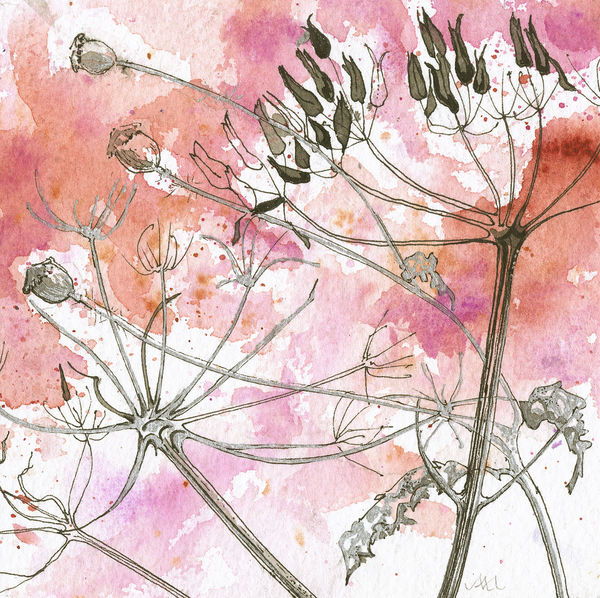 Seedheads, pink
