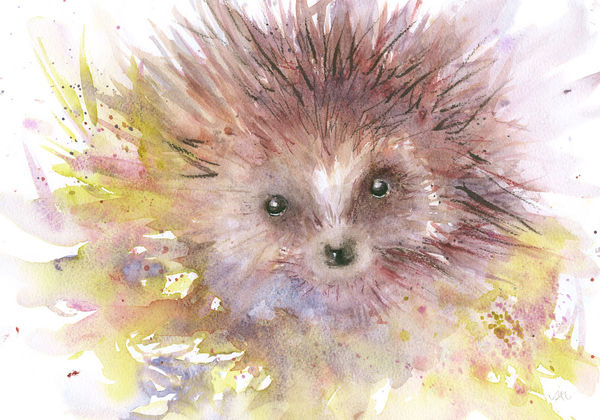 Spike Hedgehog