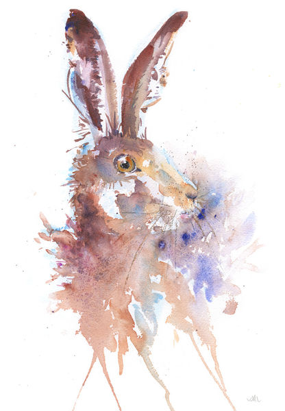 Startled Hare