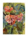 Poppies