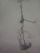 applebough study 1987