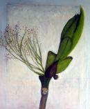 tree bud with seeds