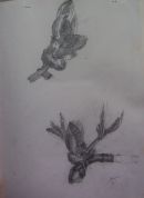 Botanical
