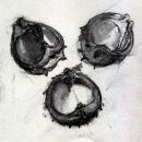 CHESTNUT 3  charcoal on paper 6.10"X 6.10"