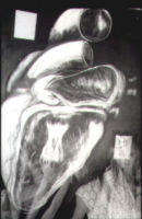 inside a heart .1986. charcoal chalk .linseed oil 7ft x5 ft