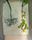 Wild garlic and Forsythia