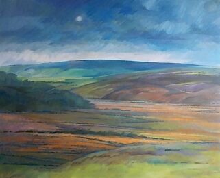 Veiled Sun on Danby moor. large Oil