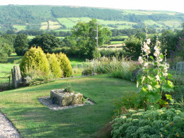 View from the studio