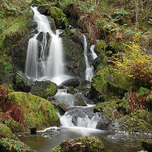 Waterfalls - Artist Wood