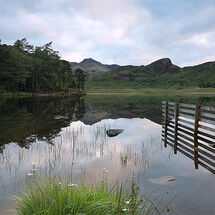 Blea Tarn's Langdale reflections