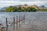 Derwent Island