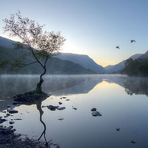 Padarn reflections