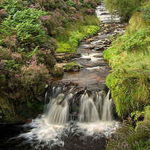 Fairbrook Naze